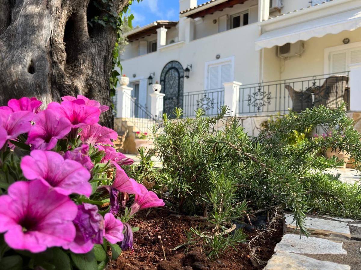 Villa Ampelaki 2 ปาเลโอกัสไตรซา ภายนอก รูปภาพ